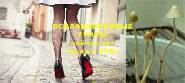 apvp Аркадак