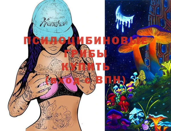 apvp Аркадак