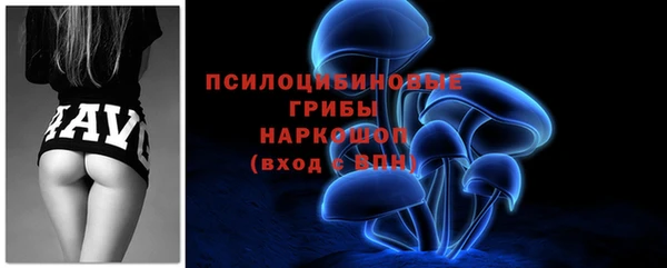 apvp Аркадак