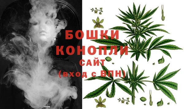 apvp Аркадак