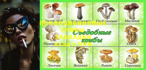 apvp Аркадак