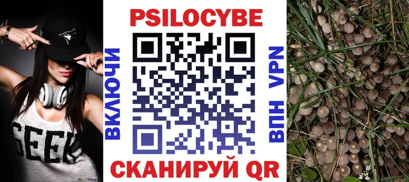 Псилоцибиновые грибы Magic Shrooms  купить   Сибай 